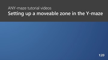 ANY-maze: Setting up a moveable zone in the Y-maze