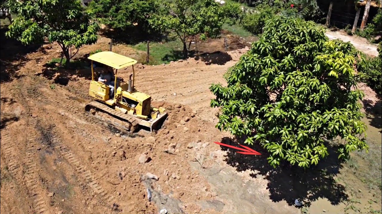 New Project Land Reclamation Process In Plantations By Small huge-land-reclamation-process-dump-truck-unloading-operating-skills