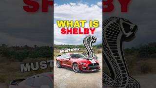 Download Lagu What Makes a Shelby Mustang SPECIAL? #mustang #shelby #supercar MP3