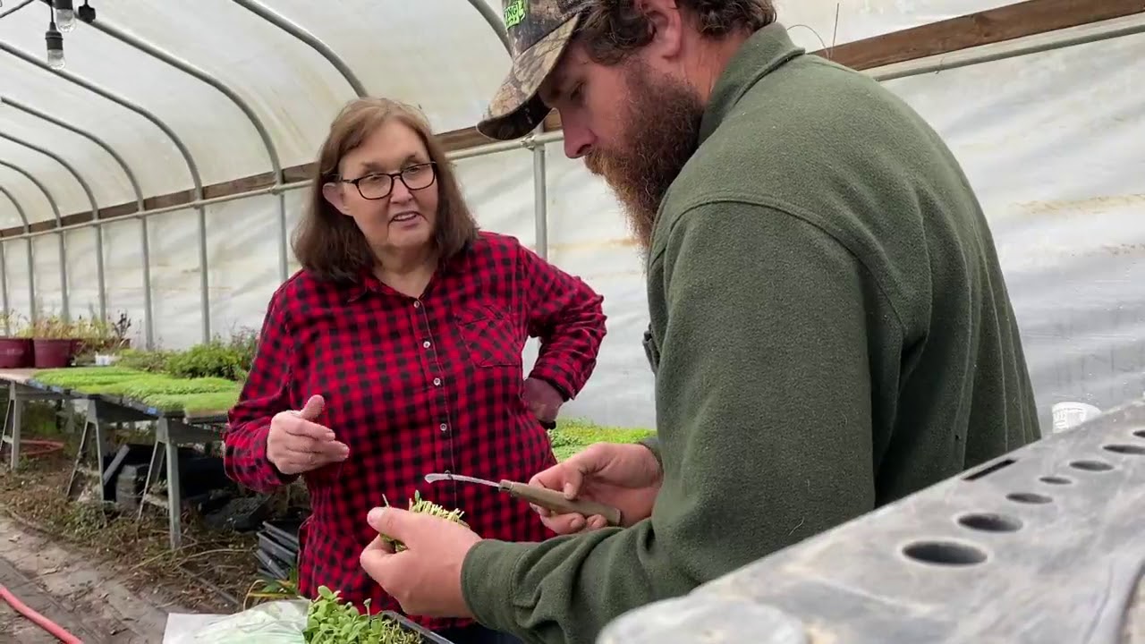 SEEDING For spring - YouTube