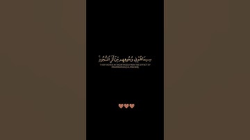 سورة الفتح / الشيخ أحمد النفيس / تلاوة خاشعة ومؤثرة راحة نفسية