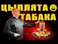 ЦЫПЛЯТА-ТАБАКА - чугун, керамика, дровяная печь, комментарии хейтеров и диванных критиков