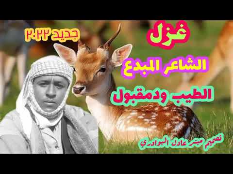 جديد الطيب ودمقبول الهمباتي