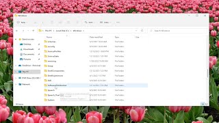 how to clear windows update history in windows 11/10 [tutorial]