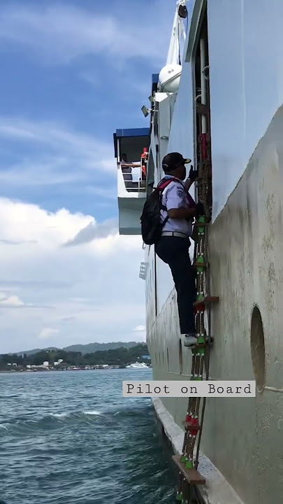 Om Pandu  #shorts  #pacenoge03 #sorong #papuaindonesia #kmsangiang #pelni #indonesia #pelindo #viral