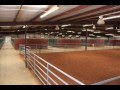 Stall Barn Stall Barn