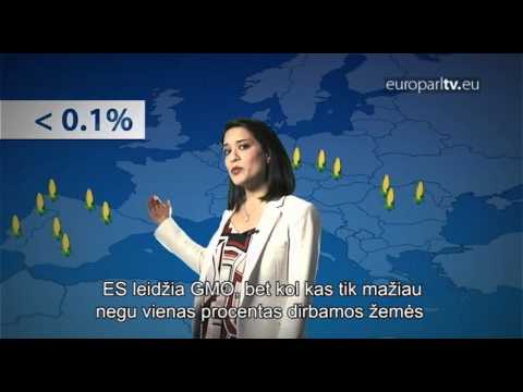 Video: Kinijoje Buvo Sukurti Genetiškai Modifikuoti Raumeningi šunys - Alternatyvus Vaizdas