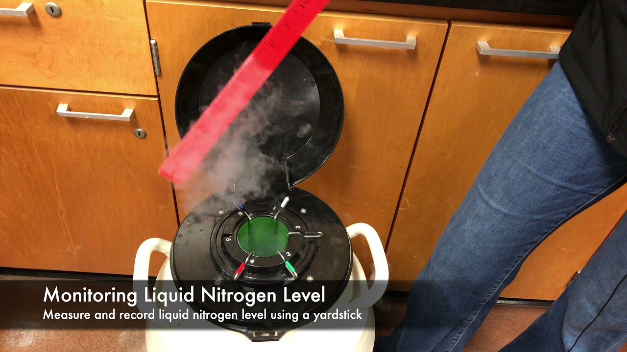 Care And Maintenance Of A Liquid Nitrogen Tank - Mizzou Repro