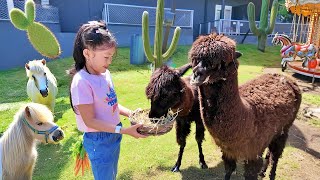 Kasih Makan Kuda Poni dan Alpaka, Main Kuda Kudaan, Seluncuran Playground Anak Dinosaurus
