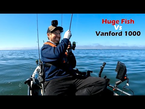 best shore fishing reels Top 10 Best Inshore Saltwater Spinning Reels  Tight Lines and High Tides