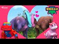 副櫛龍的愛情保衛戰❤️Dinosaurs Love | 幫幫龍出動 | 情人節特輯 | 兒童卡通 | 恐龍 | Valentine&#39;s Day Special | Cartoon | GOGODINO