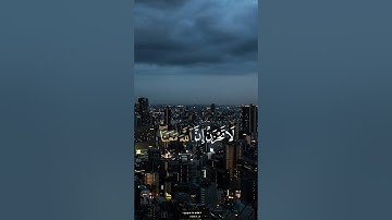 ما تيسر من سورة التوبة بصوت القارئ عبد الرحمان مسعد
