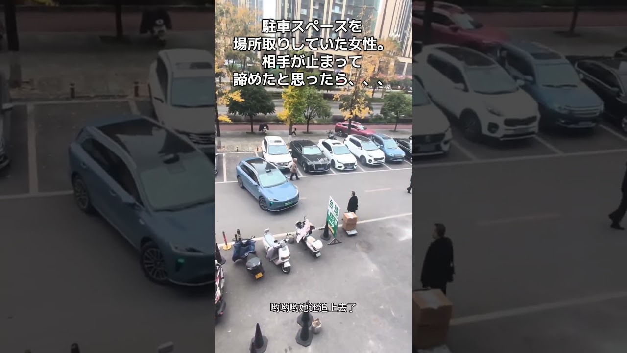 【ざまあw】駐車スペースを場所取りしていた女性。相手が止まって諦めたと思ったら、、、