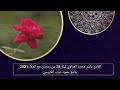 ياسر محمد العزاوي ليلة 28 من رمضان مع الدعاء2021 جامع حمود ذياب الكبيسي ياسر محمد العزاوي ليلة 28 من رمضان مع الدعاء2021 جامع حمود ذياب الكبيسي