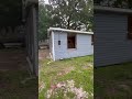The Old Pensacola Dog & Cat Hotel
