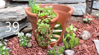 +100 cool ideas of Mini Garden with Broken Pot, Made by Hand