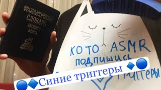 : ASMR  /  /  /