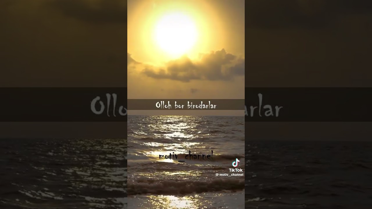 2 октября 2025 г.