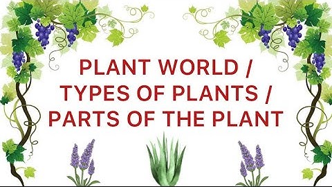 PLANT WORLD / TYPES OF PLANTS /PARTS OF THE PLANT /EVS /CLASS 1/NCERT  #funlearningforkids