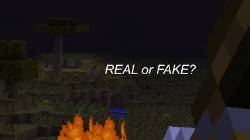 The Herobrine Documentary [Fourth Encounter]