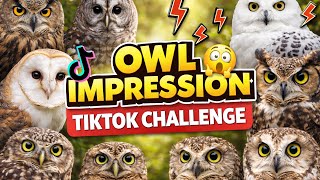 TRY NOT TO LAUGH 🦉 Owl Impression Challenge Compilation