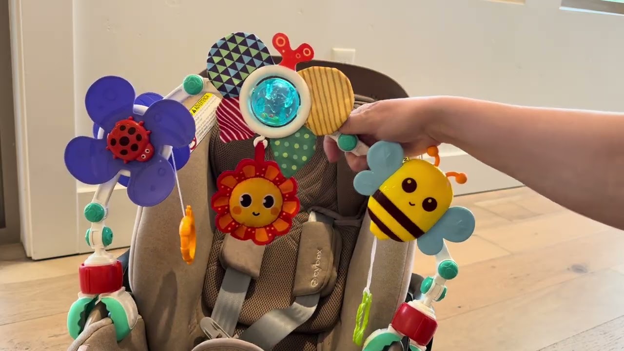 Baby Activity Arch Toy Bar Review!