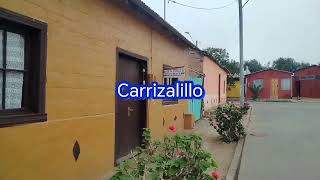 Chañaral de Aceituno y Carrizalillo. Sur de la Región de Atacama.