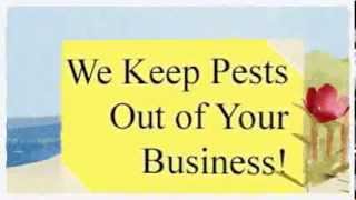 Pest Management Insect Control 209-456-5665 Tracy CA, Pest Inspection