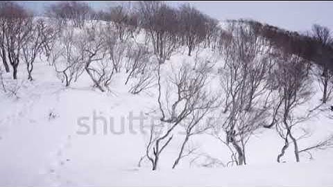 SMS Broadcaster Machine|add telegram:MY911SMS