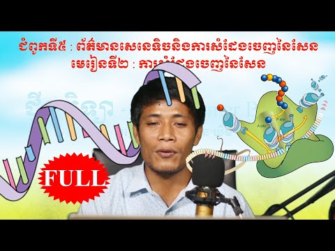 ជីវវិទ្យាទី12 : ការសំដែងចេញនៃសែន (ការសំយោគប្រូតេអ៊ីន) - (Khmer biology grade 12) – ARNm