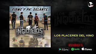Los Inquietos Del Norte - Placeres Del Vino (Audio)