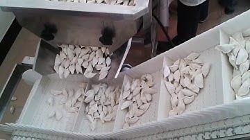 frozen dumpling weighing and packing system