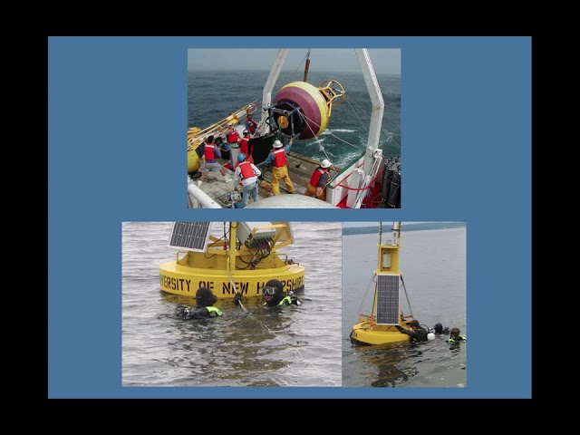 What are ocean buoys and what do they do? 