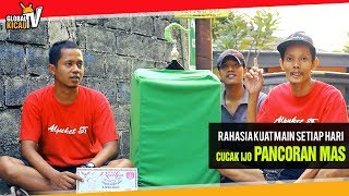 CUCAK IJO DEPOK : Rahasia Perawatan PANCORAN MAS Ngentrok Jambul Nembak