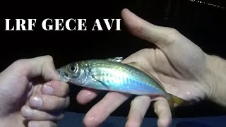 Download Gece Lrf Avi Kefal/İskorpİt/İsparİ/İstavrİt Kaçan Mırmır Büyük Oldu Video MP3 Gece Lrf Avi Kefal/İskorpİt/İsparİ/İstavrİt Kaçan Mırmır Büyük Oldu