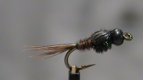Beginner Fly Tying a Stiff Side Soft Side Pheasant Tail with Jim Misiura