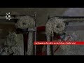 گاز و ئالیک و دۆلار گران بوون و مریشکفرۆشان دەڵێن، بە زیان دەیفرۆشنەوە