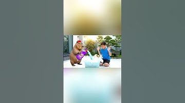 Capy cùng anh giúp bà tắm cho con ngỗng và cái kết #capybara