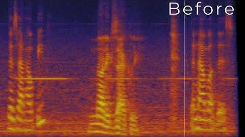 Absentia DX Hum Remover