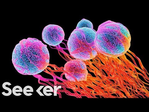 Scientists Are Using Your Body’s Bacteria To Battle Cancer, Is It Working?