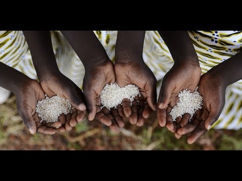 Responding to the Famine in Africa jesus mi fiel amigo