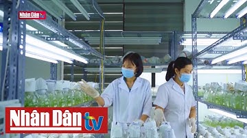 Lối đi nào cho nông nghiệp công nghệ cao | Động lực vùng sông Hồng