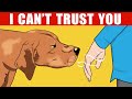 How Dogs Can Recognize a Bad Person (And Other Dog Incredible Abilities Explained)