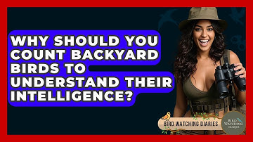 Why Should You Count Backyard Birds To Understand Their Intelligence? - Bird Watching Diaries