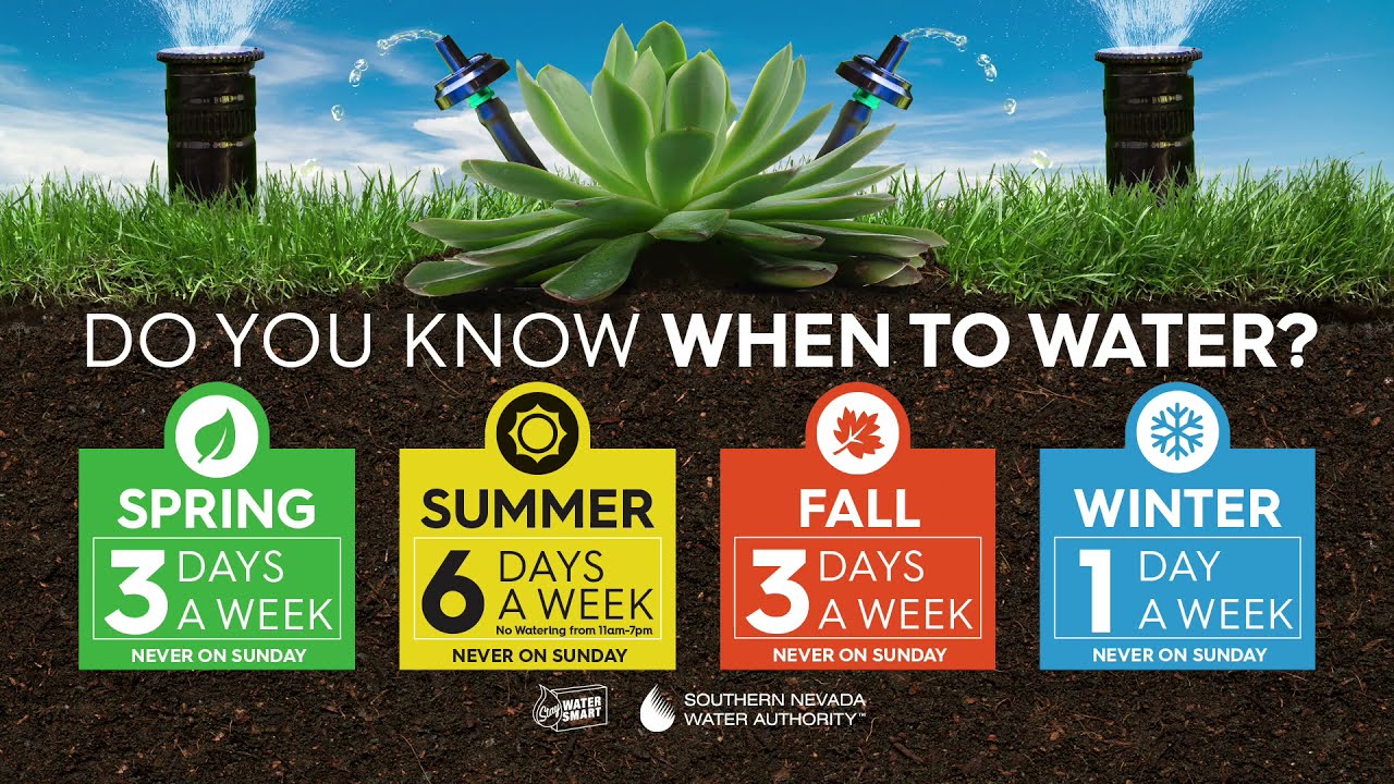 Tips For Watering From Summer To Fall