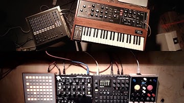 skinnerbox live 5.4 quarantine with Q&A (minimoog, digitakt)