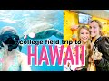 semester at sea port day in hawaii | semester at sea spring 2020