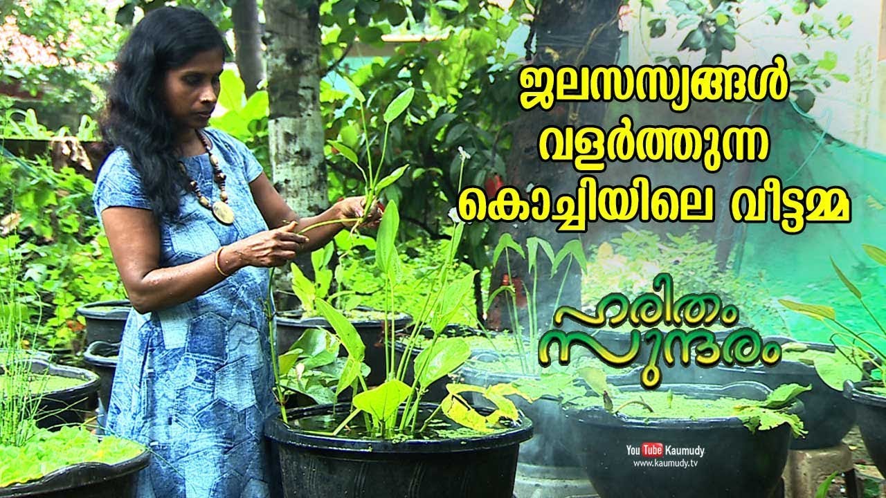 Wow! Profitable Water plants farming by a Kochi Housewife | Haritham Sundharam | EP 235