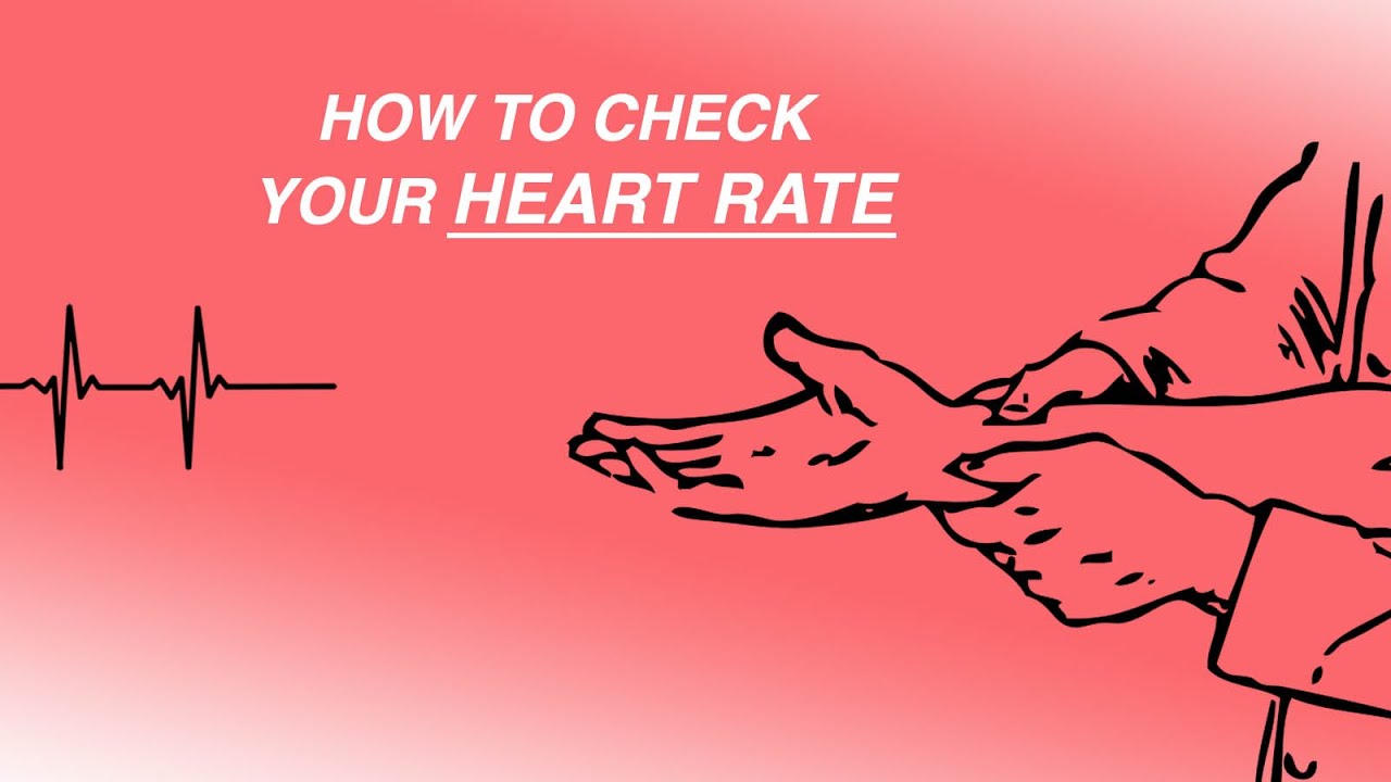 How To Check Your Heart Rate YouTube