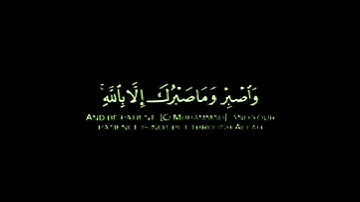 تلاوة تطهر القلب🌿 حالات واتس🌿 من سورة النحل